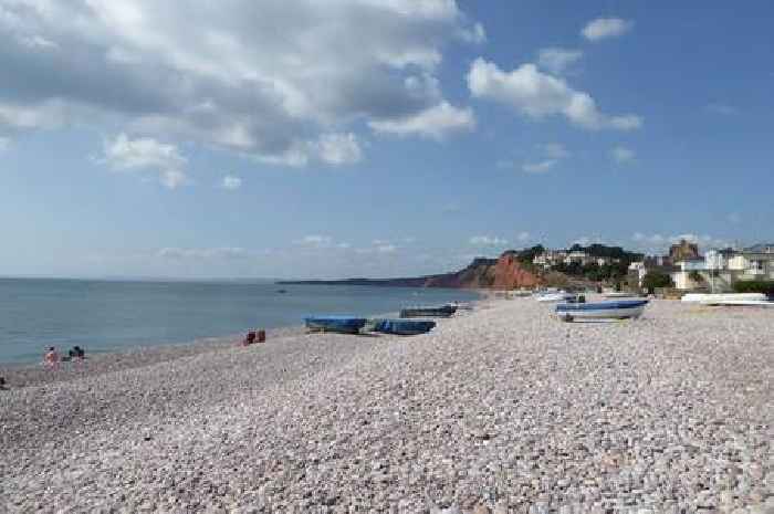 Do not swim at these two Devon beaches amid pollution alerts