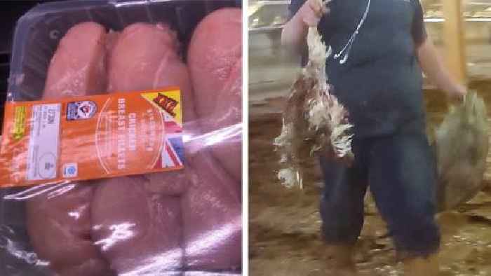  New Photos Suggest Lidl Lied About Animal Cruelty Scandal