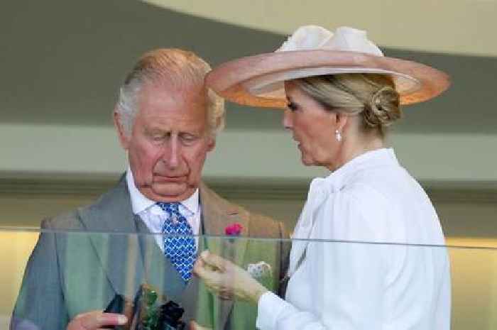 Duchess Sophie displays 'gesture of concern' towards King Charles at Royal Ascot