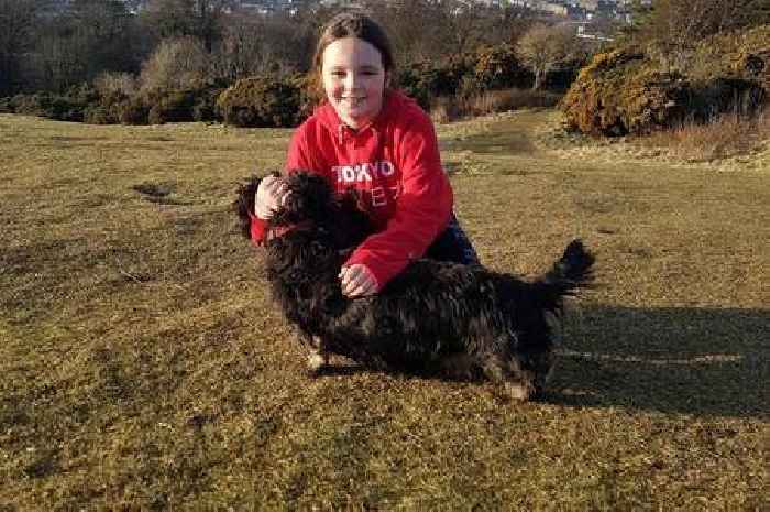 Family heartbroken after two dogs 'poisoned' while on walk at reservoir
