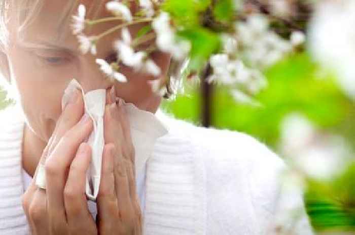 Why pollen count is so high in Birmingham and tips to manage hay fever