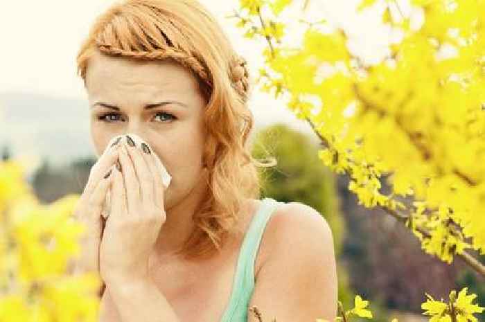 Devon GP's six tips on coping with hay fever as pollen levels rocket