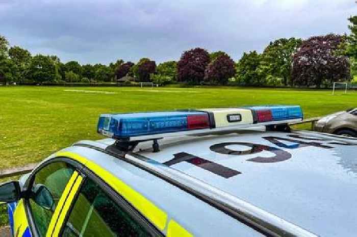 Man released without charge after 'boy approached' in Addlestone park