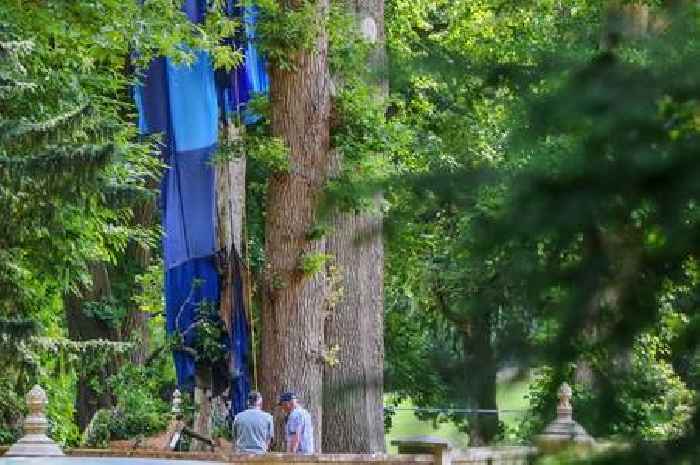 Police investigating hot air balloon crash death issue appeal for video footage