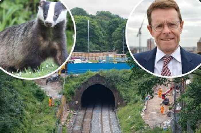 Badgers blamed for huge delay in building new railway station in Birmingham