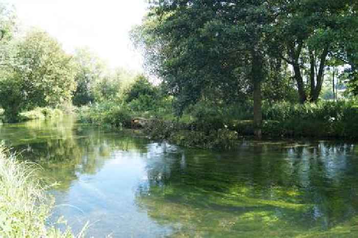  World famous chalk streams will benefit from expanded Environmental Farmers Group