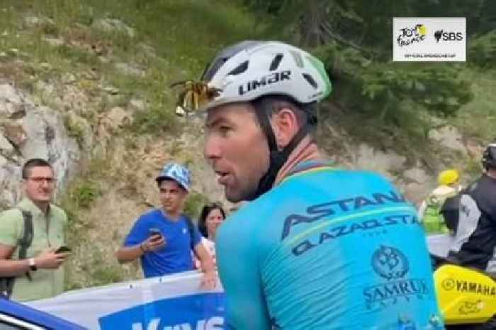 Brilliant moment Mark Cavendish speaks Welsh while riding bike at the Tour de France