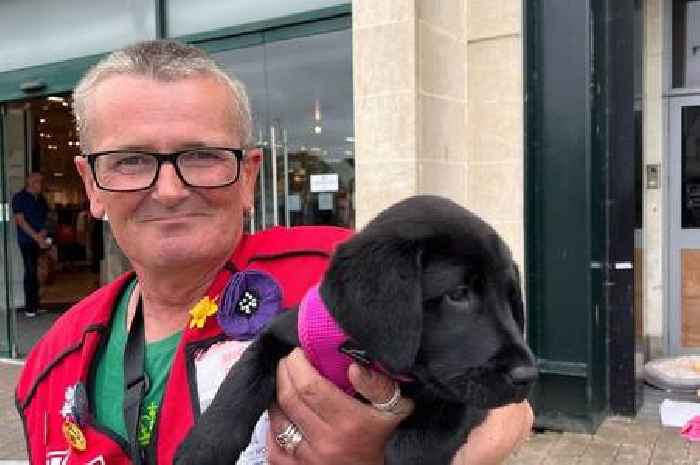 Big Issue seller Nick welcomes new puppy after sad death of 'love of his life'