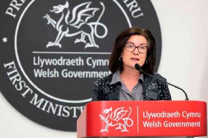 Eluned Morgan puts her name forward to be Wales' next First Minister