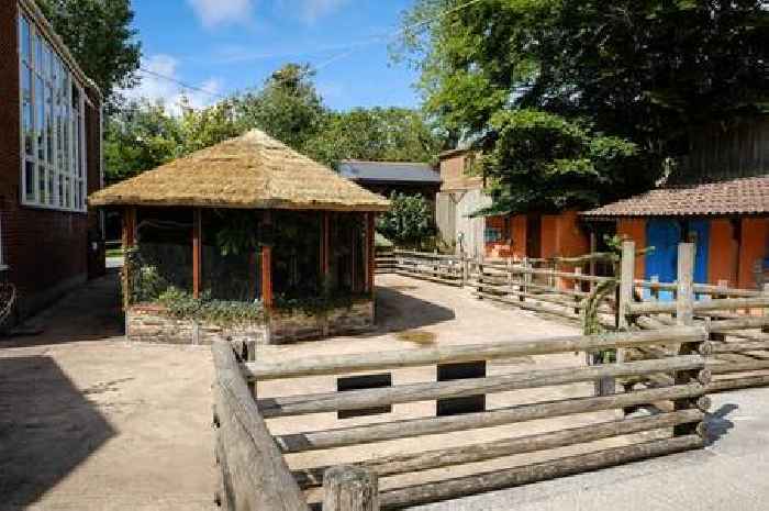 Newquay Zoo job losses announced as bosses warn of 'crippling' financial challenges