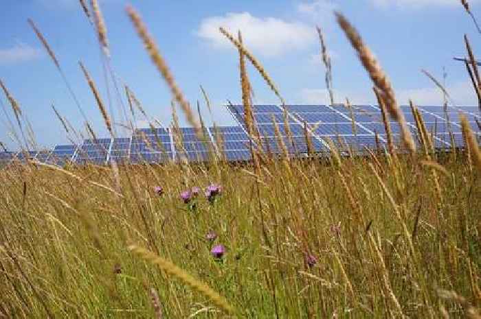Plans submitted for 56 acre solar farm in tight-knit Kent village