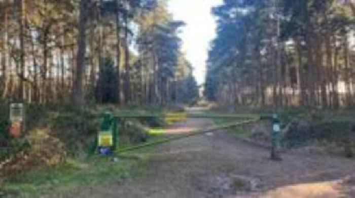 Dog fouling forces temporary closure of woods
