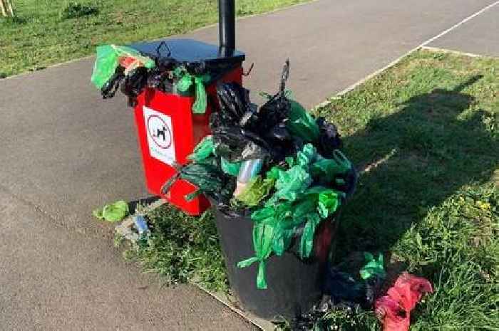 Overflowing dog poo bins in Gloucester spark concerns