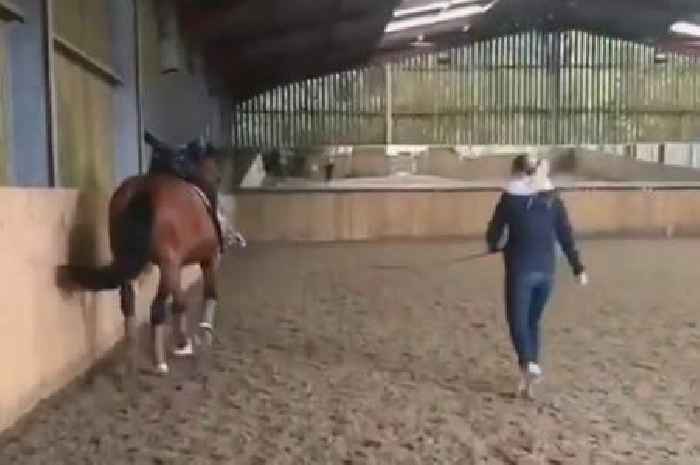 Charlotte Dujardin video released as Olympian 'whips horse like an elephant in circus'