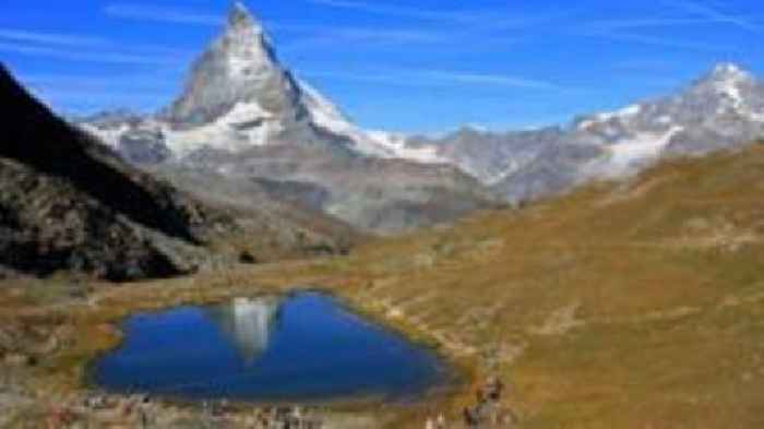 Swiss limit tourist access in bid to bring back edelweiss