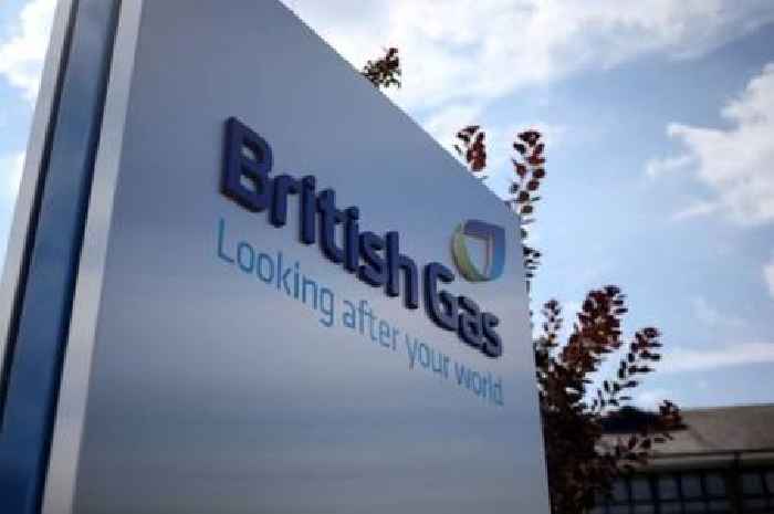 British Gas, EDF, Ovo, Octopus customers told bills will 'fall £300' and given exact date