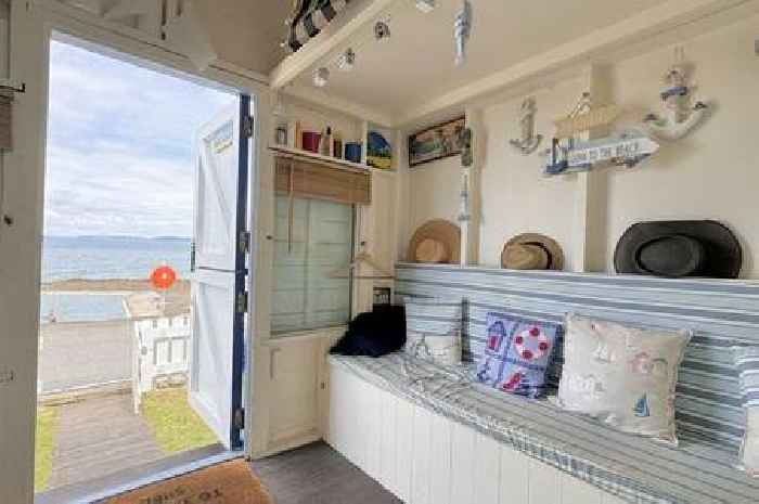 Beautiful Devon beach hut in spectacular location could be yours for £42,500