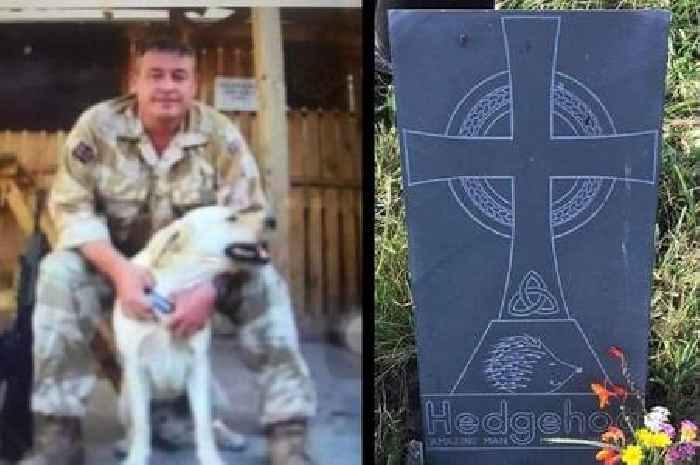 Devastated friend being forced remove touching memorial to his young 'war hero' mate