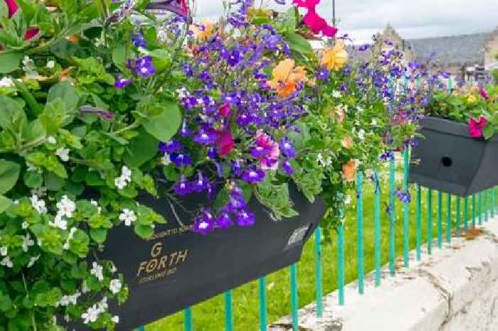 Stirling city centre sees splash of colour with new planters as part of summer revamp