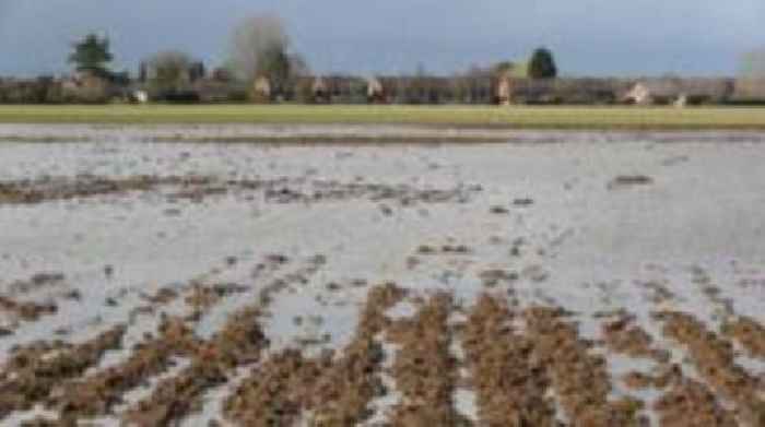 'Fields of rotting veg' after rain wreaks havoc