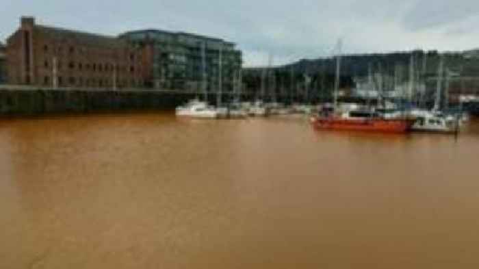 Hope and 'frustration' over harbour's brown water