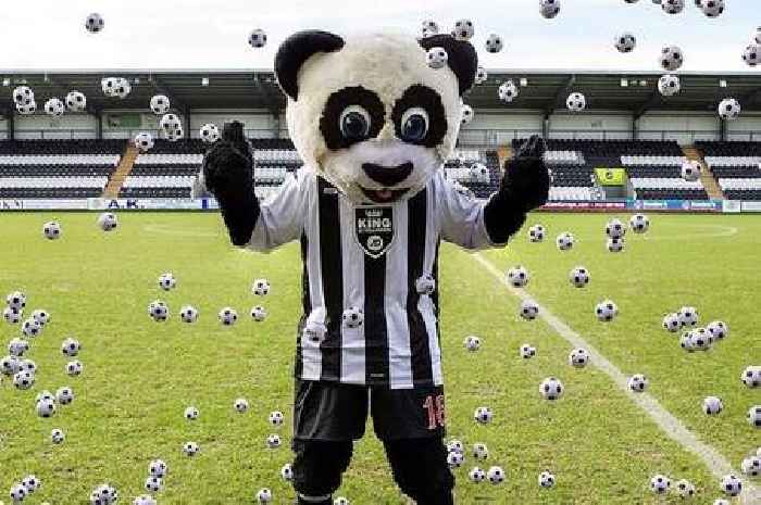 Former Paisley Panda Colin in 9,000-mile trip to back beloved Saints in Iceland