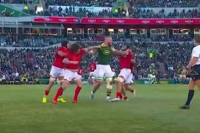 Springboks giant jumped by four opponents as 1.5m watch on-field 'UFC' tussle