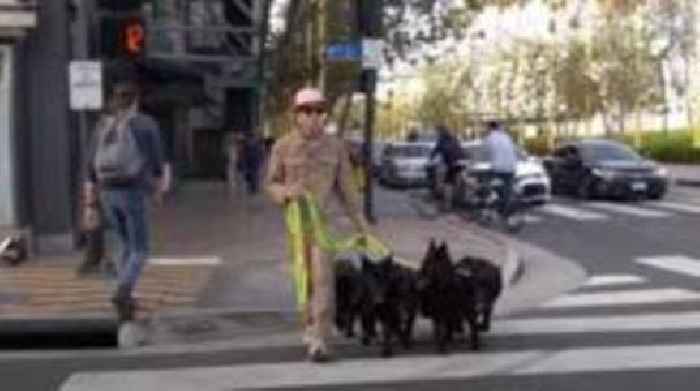 US dog trainer visit to city prompts RSPCA concern