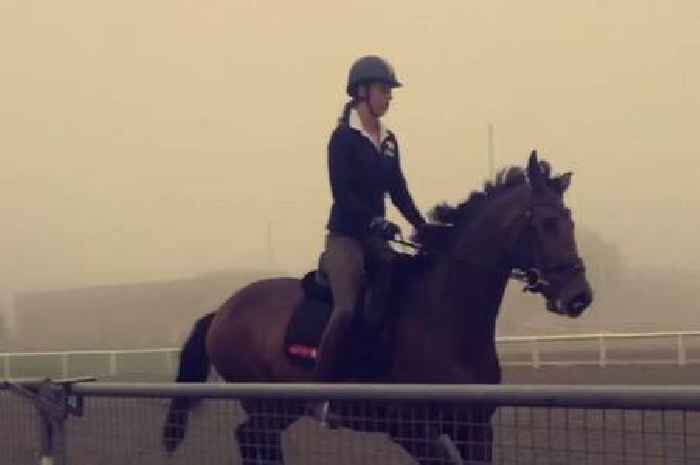 Charlotte Dujardin accused of calling her horse a b***h in new video