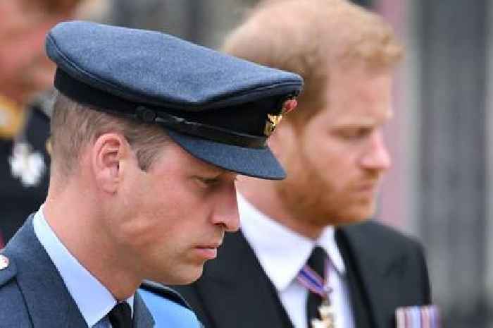 Prince Harry and Prince William heartbreak as they lose close family member