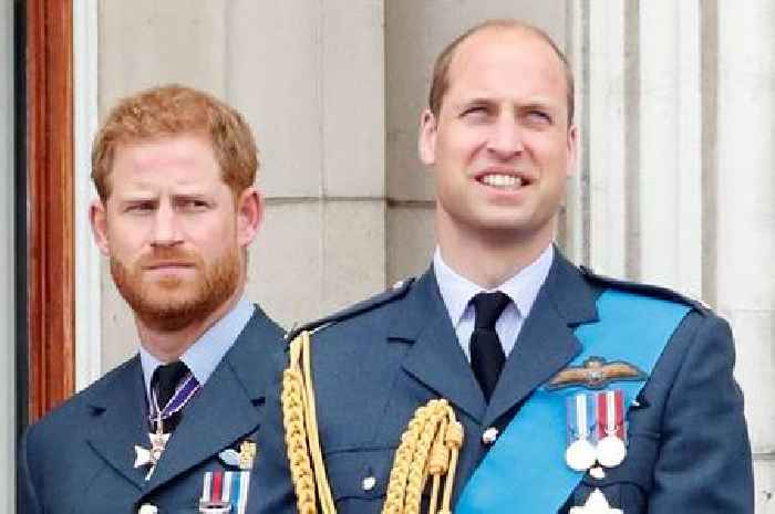 Prince Harry and Prince William heartbreak as they lose close family member