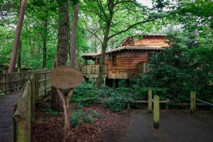 Center Parcs says guests are happier than ever as Notts firm records highest-ever earnings