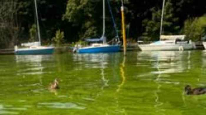 'Disgusting' smell at Lough Neagh as algae spreads