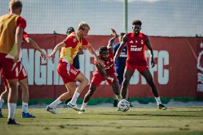 Transfer status of every Nottingham Forest player as Nuno makes key changes to squad