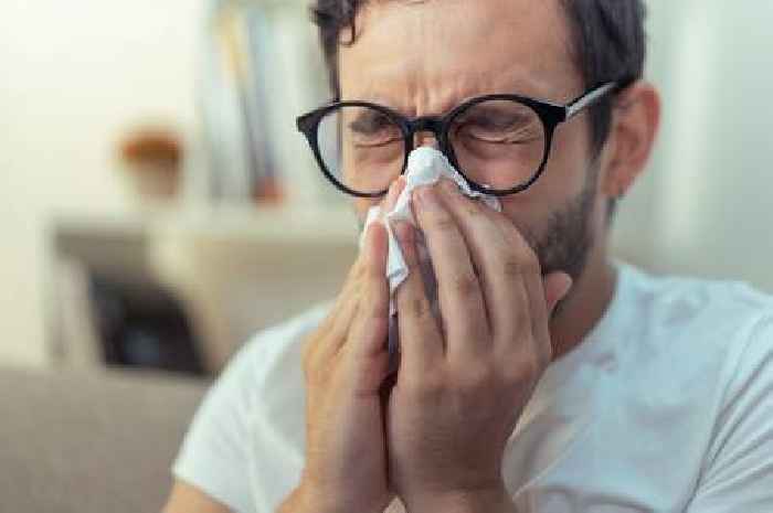 Simple Vaseline hack to keep hay fever symptoms at bay