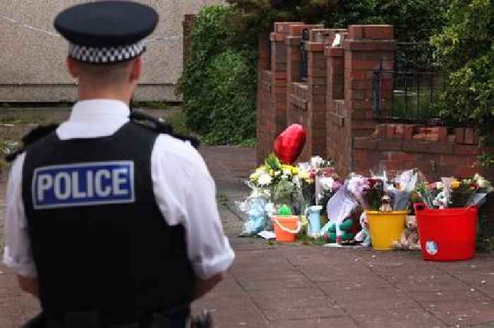 Boy, 8, dies in house fire after rescue attempt as community unite in grief