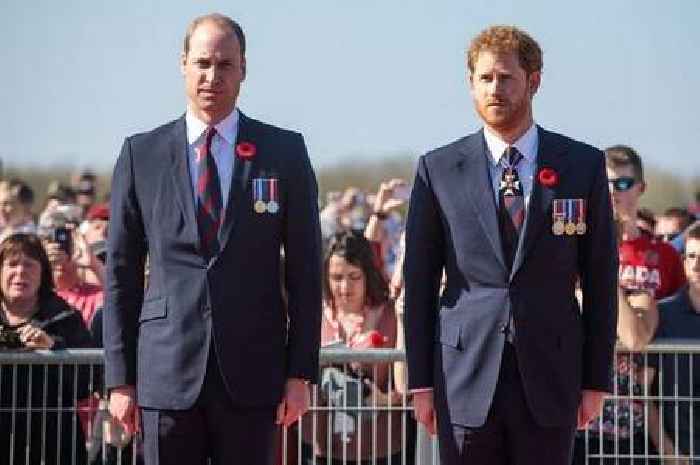 Prince William left 'furious' over Prince Harry's huge inheritance which is 'so wrong'