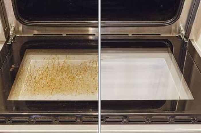 Effortlessly clean a grimy oven door with household item as shared by cleaning expert