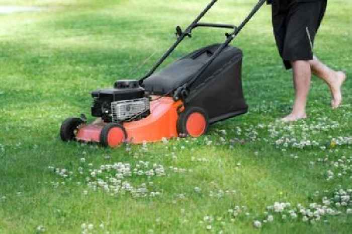 UK households who mow lawn for 'less than an hour' warned