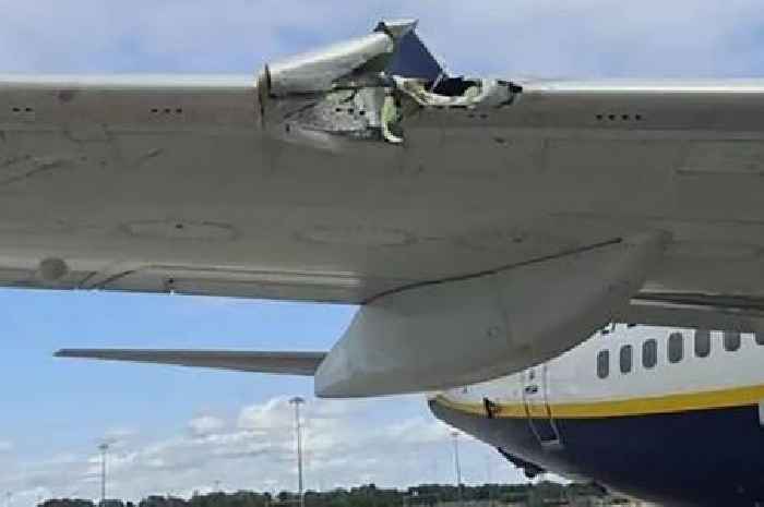 Ryanair plane and truck crash at Stansted Airport blamed on driver's tiredness