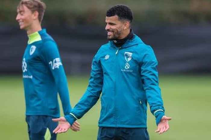 Ange Postecoglou responds to Dominic Solanke to Tottenham transfer question