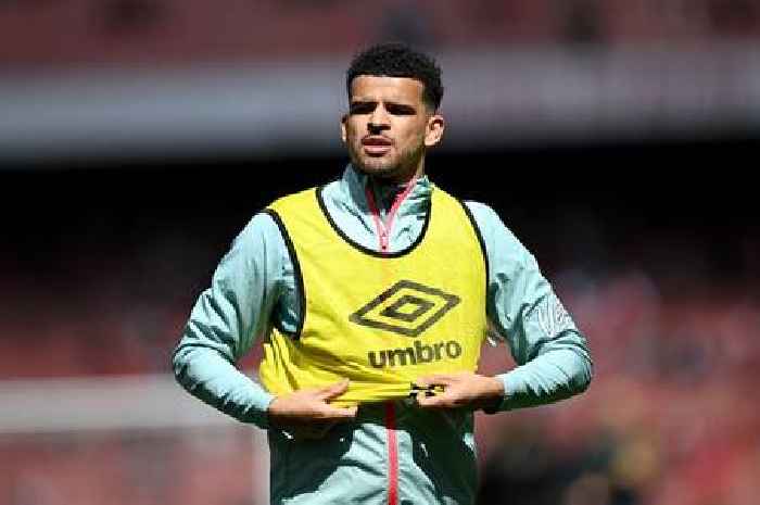 Bournemouth break silence on £60m Dominic Solanke Tottenham transfer