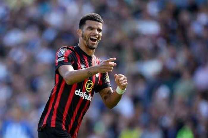 Tottenham make Dominic Solanke transfer breakthrough as Ange Postecoglou dream deal close