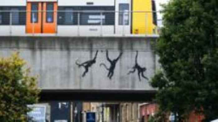 What is the meaning behind Banksy's new urban jungle?