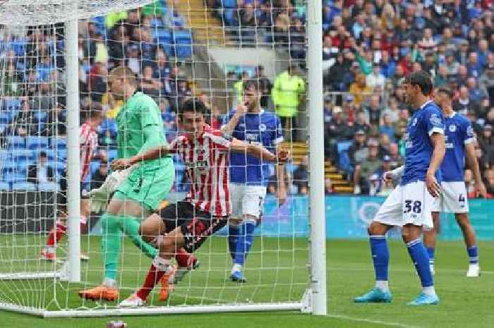 Cardiff City 0-2 Sunderland: Bluebirds begin season with disappointing home defeat