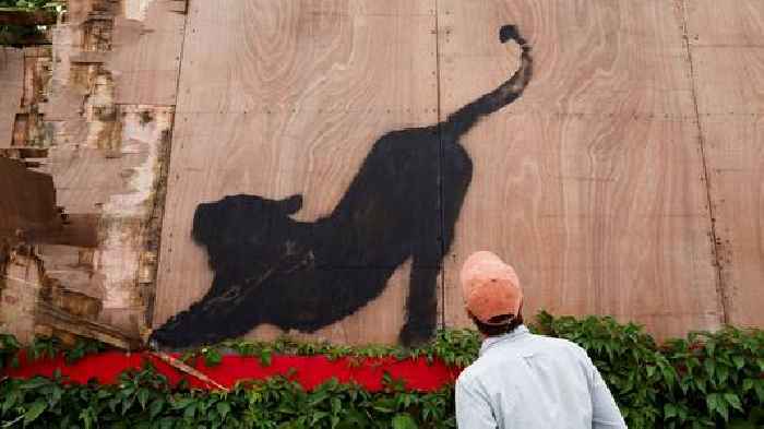 Banksy reveals cat piece - as he stretches run of new artworks to six in six days