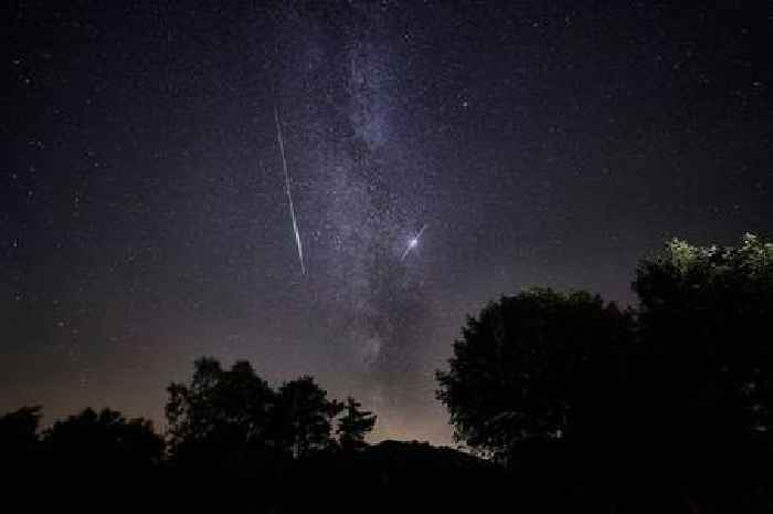 Perseid meteor shower is at its peak and this is exactly when and where to look