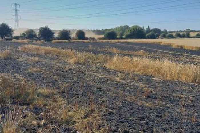 Essex field fire sees farmers join firefighters in battling flames