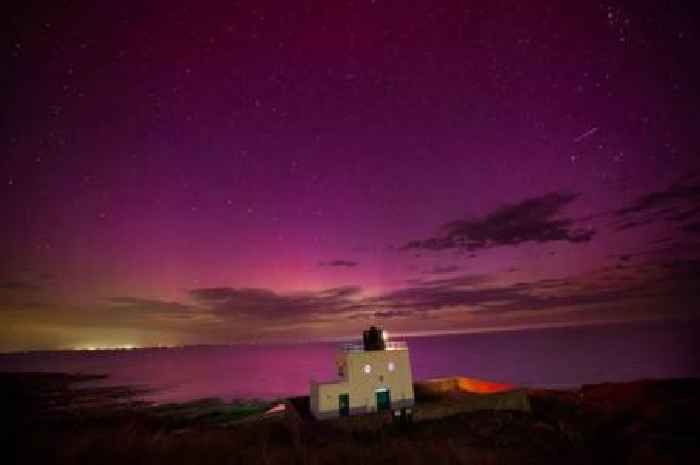 Perseid meteor shower tonight: Exact time light show will dazzle skies in UK