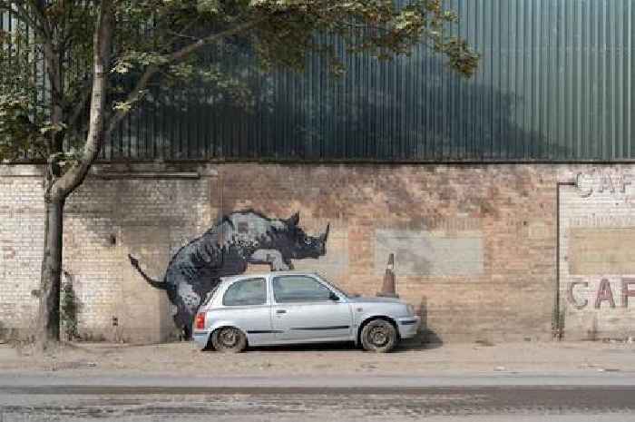 Banksy unveils rhino artwork that looks like the animal is climbing onto a car